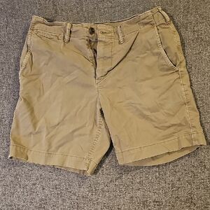 American Eagle Outfitters Khaki Flat Front Shorts